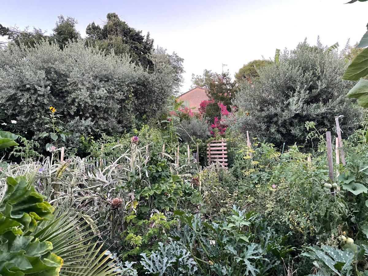 Villa Leona Clim Park Bollène المظهر الخارجي الصورة