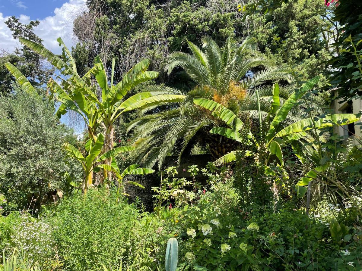 Villa Leona Clim Park Bollène المظهر الخارجي الصورة