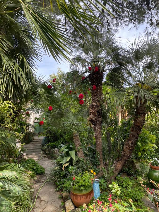 Villa Leona Clim Park Bollène المظهر الخارجي الصورة